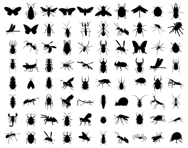 Una grande serie di sagome di insetti. Illustrazioni vettoriali isolate su sfondo bianco - Vettoriali, immagini