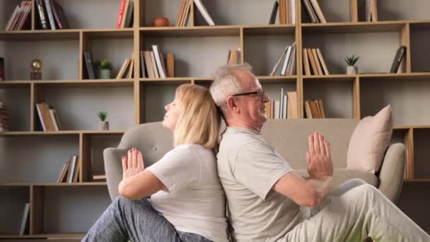 Couple de personnes âgées faisant de la méditation ou du yoga à la maison sur le plancher du salon. - Séquence, vidéo