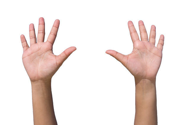 Las manos formando levantan y acuerdan sobre fondo blanco
 - Foto, imagen