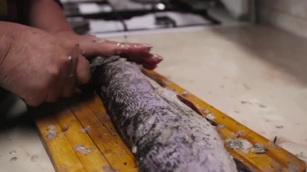 Frau entfernt Schuppen von Luce-Fischen mit kleinem Messer auf Holzbrett in Küche. - Filmmaterial, Video