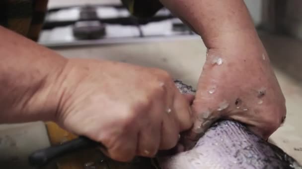 Frau entfernt Schuppen von Luce-Fischen mit kleinem Messer auf Holzbrett in Küche. - Filmmaterial, Video