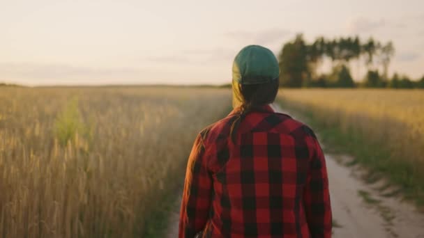 Μια αγρότισσα περπατά κατά μήκος ενός χωματόδρομου κοντά σε έναν αγρό σιταριού, επιθεωρεί τη γη και την καλλιέργεια σιταριού. Ecological.High ποιότητα 4k εγγραφή βίντεο - Πλάνα, βίντεο