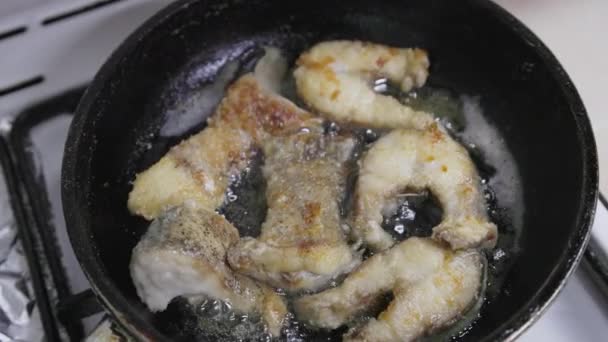 pedaços de luce peixe fritar em óleo na panela de ferro preto, visão closeup câmera lenta - Filmagem, Vídeo
