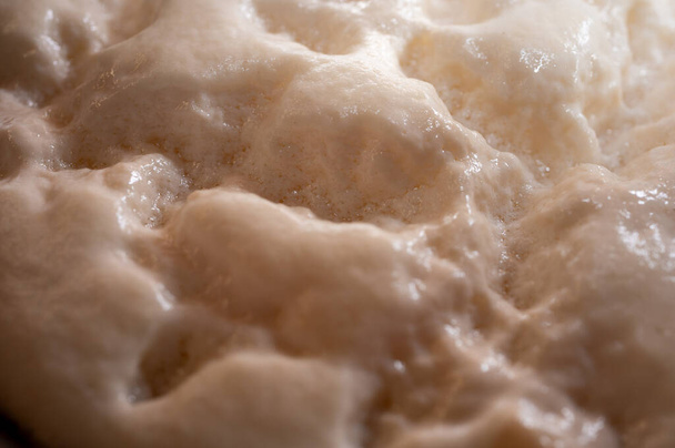 fundo, massa de levedura na massa, infusão, processo de fermentação - Foto, Imagem