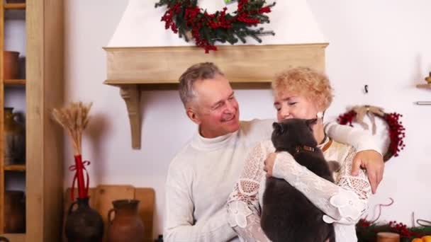 senior couple stroking and play with domestic cat in living room. Happy family, Attractive elderly mature man and woman grandparents in kitchen spend free leisure time. - Footage, Video