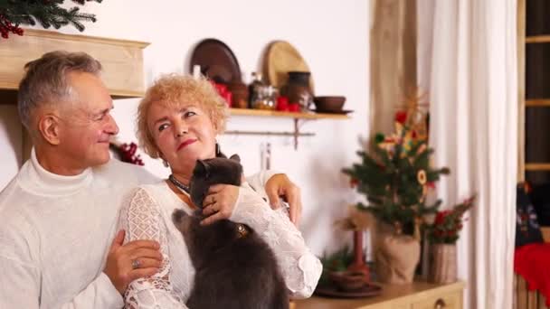 coppia anziana accarezzando e giocare con gatto domestico in soggiorno. Famiglia felice, Attraente anziani maturi uomo e donna nonni in cucina trascorrere il tempo libero. - Filmati, video