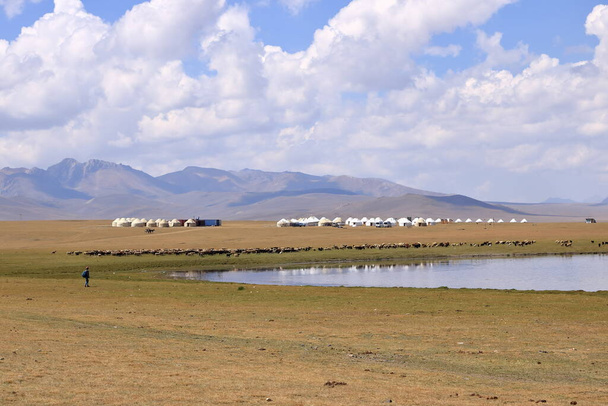 Songkol Gölü yakınlarındaki Vast Kırgız bozkırında. Kırgızistan 'da uzak arkaplanda dağlar - Fotoğraf, Görsel