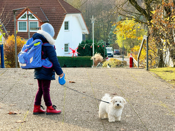 Ένα μικρό κορίτσι του σχολείου που παίζει με ένα μικρό μαλτέζικο κουτάβι έξω μετά το σχολείο. Ευτυχισμένο παιδί και οικογενειακό σκυλί διασκεδάζουν μαζί. - Φωτογραφία, εικόνα