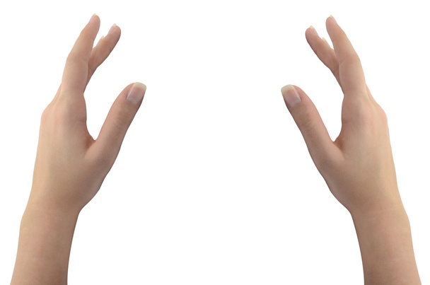 Vrouw handen geïsoleerd op wit - Foto, afbeelding