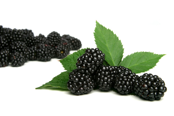 Fresh ripe  blackberries - 写真・画像
