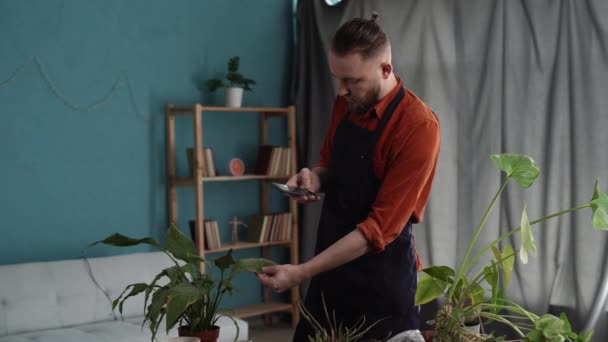 Jóképű férfi lefényképezi telefonon a szárított és leégetett leveleket cserepes növényekről. Háztartási növénybetegségek koncepciója. Otthon kertészkedés mobil alkalmazás. Fénymásolási hely - Felvétel, videó