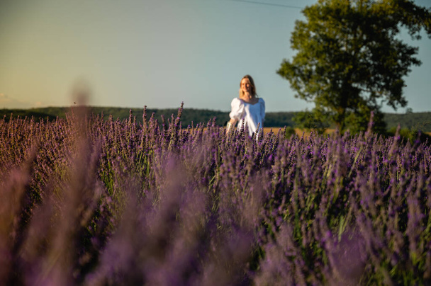Portret dziewczyny w białej letniej sukience przechodzącej przez pola lawendy, spoglądającej od tyłu do nas, zachód słońca. Pola lawendowe w pobliżu Lwowa, Ukraina. Kwitnąca lawenda latem. Skupienie selektywne - Zdjęcie, obraz