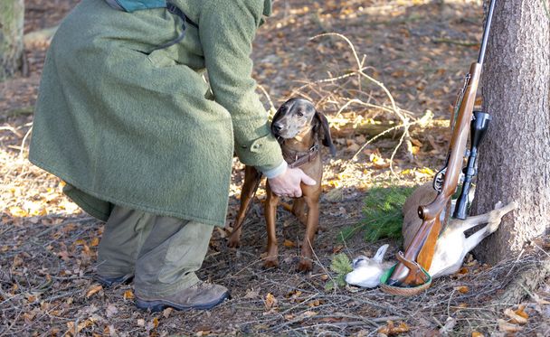 cão de caça com caçador na floresta
 - Foto, Imagem