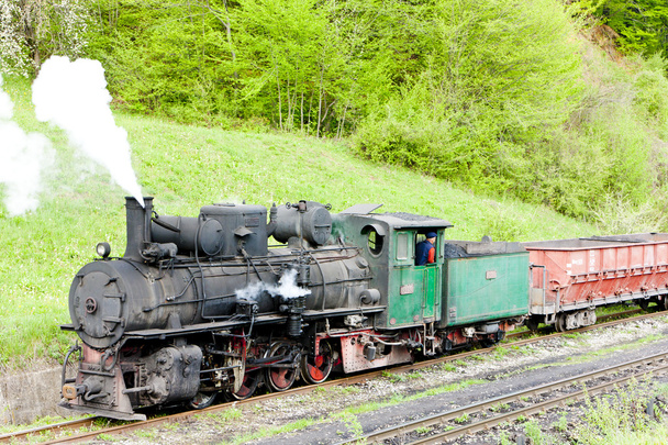 narrow gauge railway, Banovici, Bosnia and Hercegovina - Photo, Image