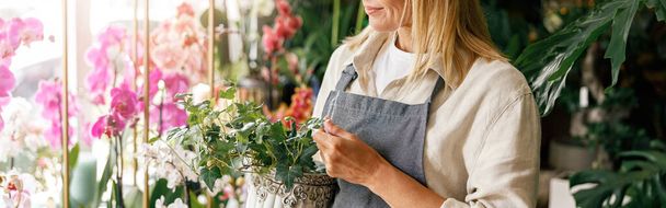 Mulher florista pequeno empresário proprietário de pé na loja floral e à espera de cliente com plantas de sala - Foto, Imagem