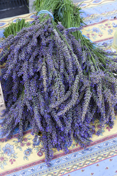 csomó lavenders, piaci-Nyons, Rhône-Alpes, Franciaország - Fotó, kép