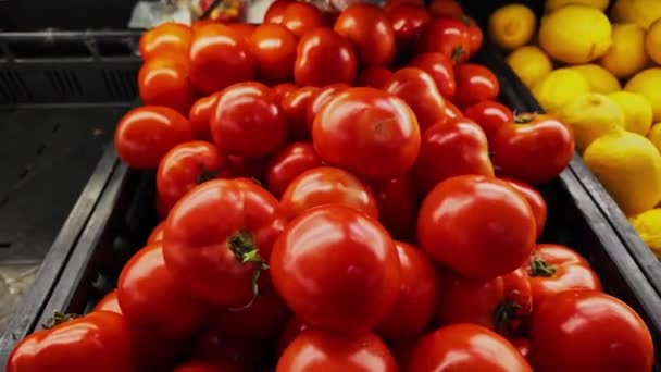 Lichte rode tomaten te koop in de markt, close-up - Video