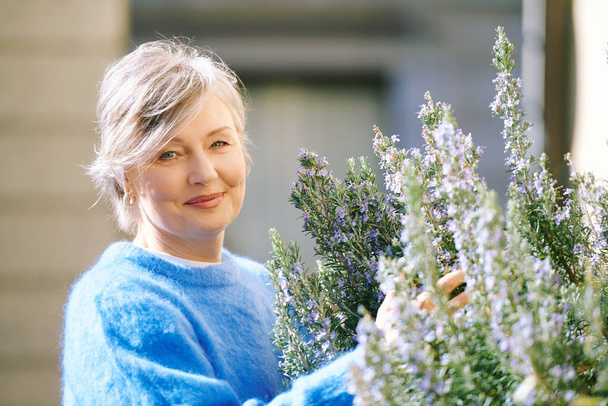 Outdoor portrait of mature woman smelling rosemary herb - Foto, Imagen