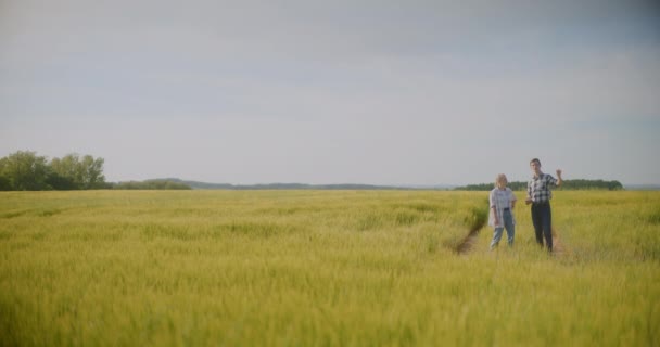 Uros ja naaras viljelijät tutkii viljelykasvien alalla keskustella ennen sadonkorjuuta viljelykasvien maatalouden käsite - Materiaali, video