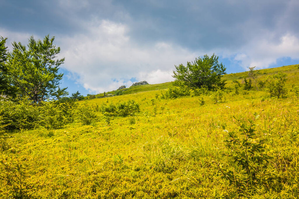 Schöne Aussicht über die ukrainischen Karpaten auf die Berge und Täler. Regenwolken in den Bergen. Gelbes und grünes Gras, der Gipfel des Berges und der Weg dorthin - Foto, Bild