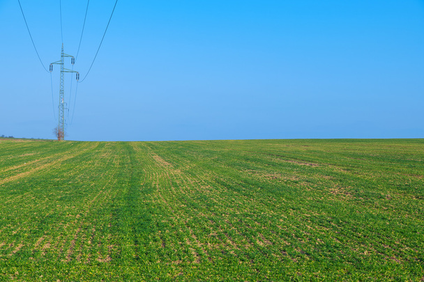 Linha de energia, campo verde com céu azul
 - Foto, Imagem