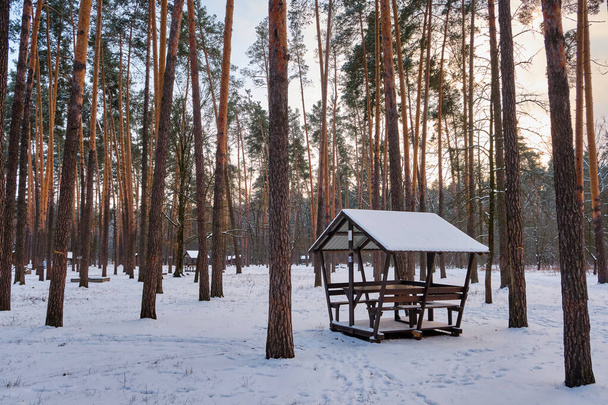 Мальовнича сцена чарівної дерев'яної альтанки, вписаної в безтурботний зимовий ліс, покритий незайманим снігом. Спокійний зимовий відступ у серці природи - Фото, зображення