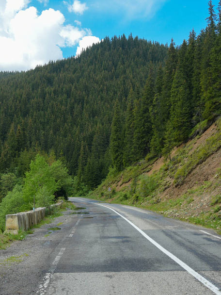 Jazda wzdłuż lasów świerkowych na drodze Transalpina, na dużej wysokości górskiej drogi. Masyw Sureanu, Karpaty, Rumunia.  - Zdjęcie, obraz