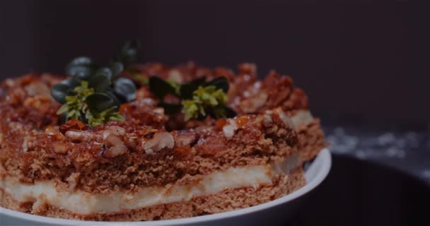 Κοντινό πλάνο του κομμάτι φρεσκοψημένο κέικ φρούτων - Πλάνα, βίντεο