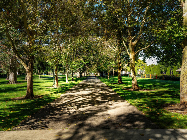 Sidewalk leidt onder een bladerdak van bomen - Foto, afbeelding