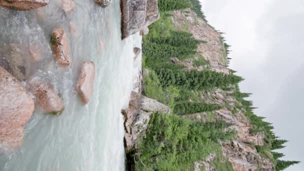 φαράγγι του βουνού ποτάμι την ημέρα του καλοκαιριού σε αργή κίνηση, κάθετη βίντεο. - Πλάνα, βίντεο