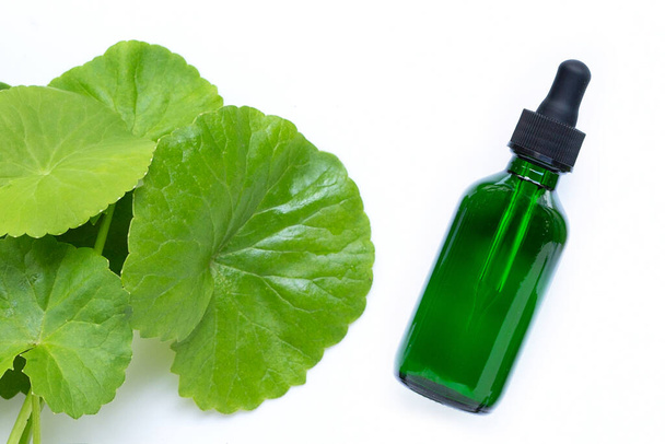 Botella de aceite esencial con hojas frescas de gotu kola  - Foto, Imagen