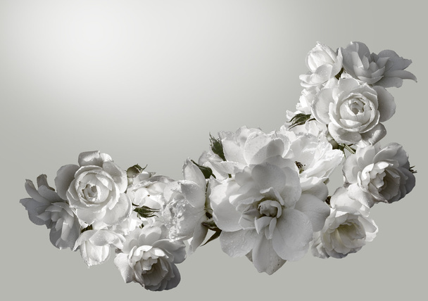 Beautiful  horizontal frame with a bouquet of white roses  with rain drops. Black and white toning image - Zdjęcie, obraz
