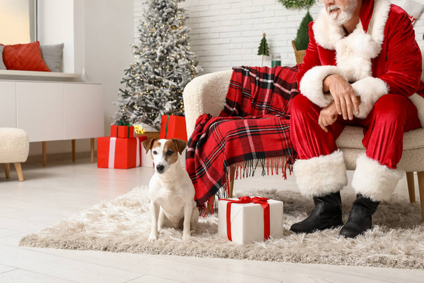 Santa Claus con lindo perro Jack Russell Terrier y caja de regalo celebrando la Navidad en casa - Foto, imagen