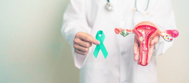 Γιατρός κρατώντας κορδέλα Τηλ με Uterus και ωοθήκες μοντέλο για τον Ιανουάριο Cervical Cancer Awareness μήνα. Cervix, ενδομητρίωση, υστερεκτομή, Uterine, αναπαραγωγική, υγειονομική περίθαλψη και παγκόσμια ημέρα καρκίνου - Φωτογραφία, εικόνα