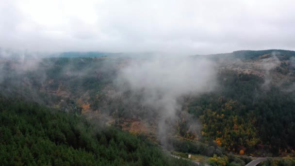 Sisli bir sabahta güzel sonbahar ağaçlarının hava manzarası. Dağlardaki bir ormanın üzerinde sisli bulutlar uçuşuyor..  - Video, Çekim