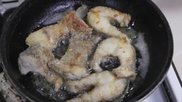 trozos de pescado luce freír en aceite en la sartén de hierro negro, vista de primer plano en cámara lenta - Metraje, vídeo
