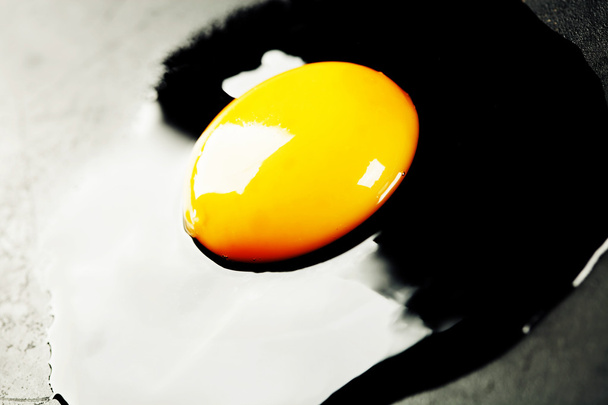 Fresh Egg on dark - Foto, immagini
