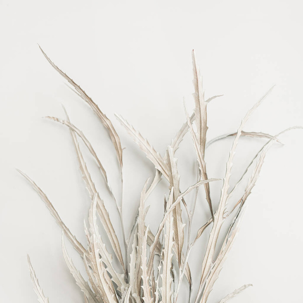 Bouquet de feuilles blanches séchées sur fond blanc. Composition florale minimale de vacances - Photo, image