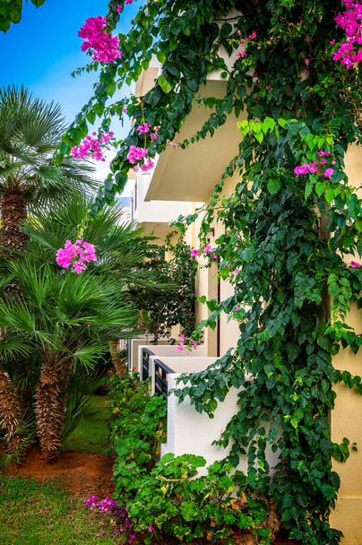 Edificio enclavado en medio de una exuberante vegetación mediterránea, enmarcada por vibrantes flores de buganvillas y elegantes palmeras. Transmitiendo un sentido de vida tranquila, destinos de viaje, estética arquitectónica. - Foto, Imagen