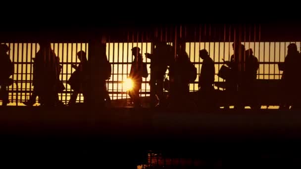 Molti passeggeri che vanno al vapore o all'aeroporto di fronte al tramonto - silhouette - Filmati, video