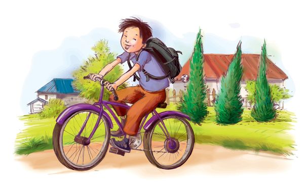 Boy cycling. Summer Activities - Vector, Image