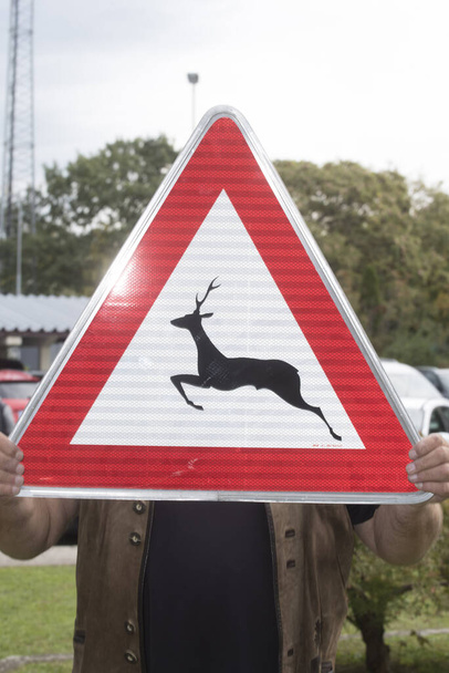 Atención tráfico de cruce de animales o señal de tráfico, triángulo rojo como aviso de advertencia - Foto, imagen