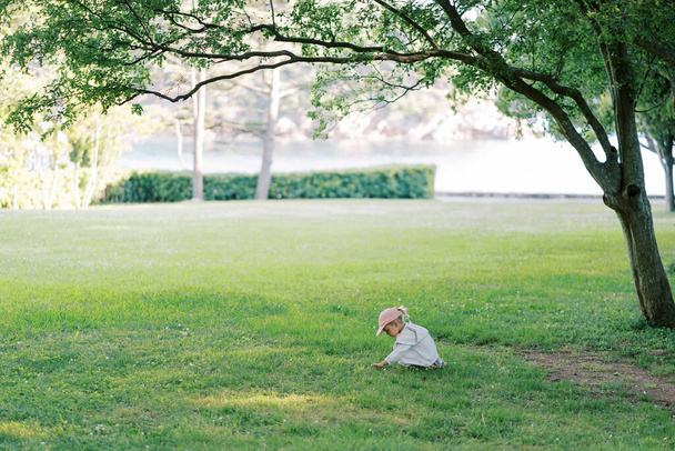 Küçük kız yeşil bir çayırda oturur ve yabani çiçekleri toplar. Yüksek kalite fotoğraf - Fotoğraf, Görsel