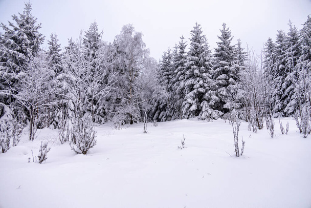 Kleine Winterwanderung durch Tiefschnee im Thüringer Wald bei Oberhof - Thüringen - Deutschland - Foto, Bild