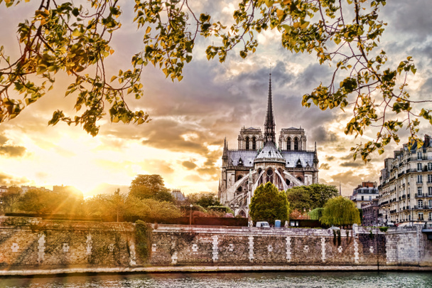 Notre Damen katedraali keväällä, Pariisi, Ranska
 - Valokuva, kuva