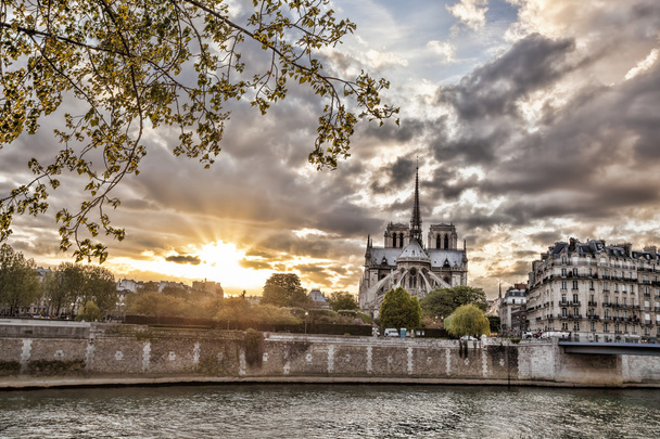 Notre-Dame kathedraal in de lentetijd, Paris, Frankrijk - Foto, afbeelding