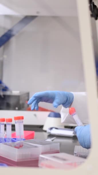 Persona irreconocible que trabaja en laboratorio con muestras en tubos de ensayo - Imágenes, Vídeo