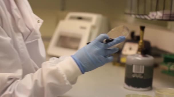 Trabajador de laboratorio con muestra en bandeja de plástico
 - Imágenes, Vídeo