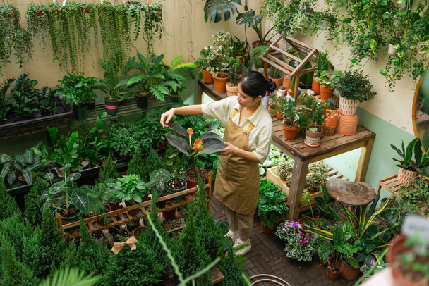 Retrato de mulher asiática trabalhando em uma loja de plantas - Foto, Imagem