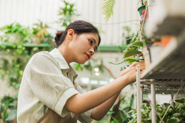 Retrato de mulher asiática trabalhando em uma loja de plantas - Foto, Imagem